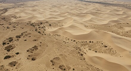 World Day to Combat Desertification and Drought
World Environment Day apocalypse post apocalyptic