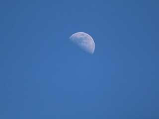 Crescent Moon in daylight sky