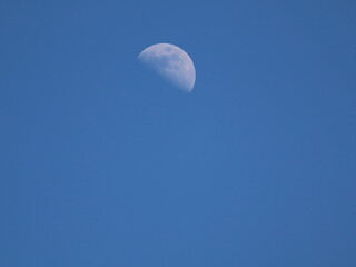 Crescent Moon in daylight sky