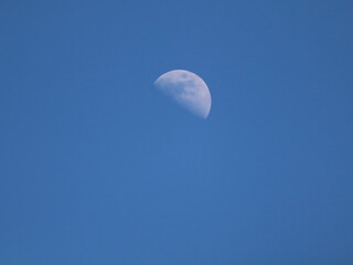 Crescent Moon in daylight sky