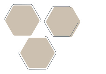 Empty hexagons photo frames. 3 honeycombs template with lines. Vector realistic Mockup for banner design, Infographic, flyer, leaflet, photo album, portraits, collages. EPS10. 