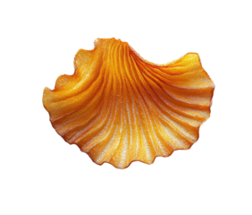 Close-up of a single, intricately folded, orange-yellow petal-like object, possibly food or art, with a textured surface and irregular edges against a black background