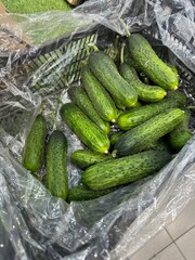 Pimpled cucumbers in a box on the market. Vertical. Spoiled cucumbers. Overripe cucumbers