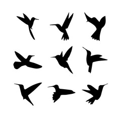 Hummingbird editable  vector set  8