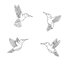 Hummingbird editable  vector set  6