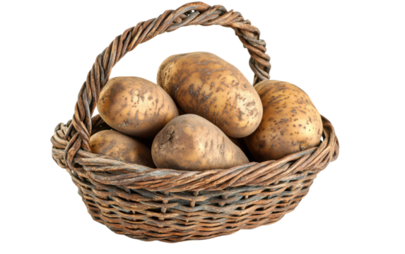 Basket of potatoes is shown on a white background