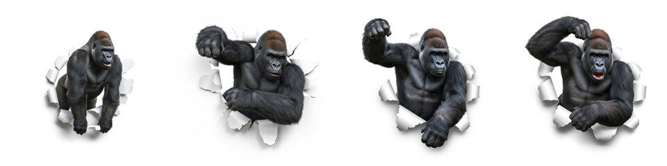Fototapeta premium Gorillas Breaking Through - Four powerful gorillas burst through a white background, showcasing strength and energy. Ideal for themes of power, breakthrough, or wildlife