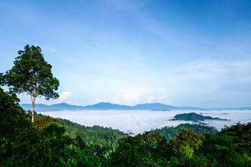 A scenic view of green mountain with fog, presenting a breathtaking scenery at Khao Phanoen Thung, Kaeng Krachan National Park, Phetchaburi Province,Thailand.