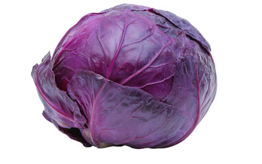 Large purple cabbage with a green leaf on top