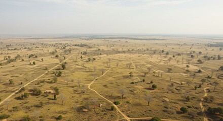 World Day to Combat Desertification and Drought
World Environment Day apocalypse post apocalyptic