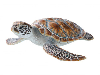 Obraz premium A young sea turtle swims peacefully with its brown patterned and textured skin, isolated against a clean white background in a close up studio shot.