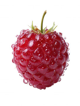 An isolated close-up shows a vibrant red raspberry with delicate water droplets clinging to its textured surface against a crisp white background, very fresh look.