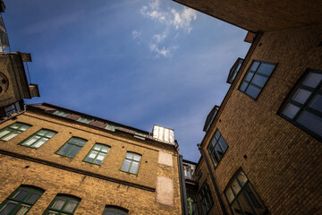 The Heart of the Yard