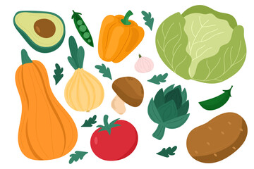 Vegetables vector illustration set including pumpkin, avocado, cabbage, onion, bell pepper, tomato, potato, mushroom, artichoke, zucchini, garlic, and green peas, perfect for farm market graphics.