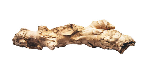 Close-up of a single piece of dried ginger root, exhibiting its irregular, knobbly texture and light beige coloration against a black background