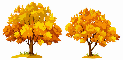Two Autumn Trees, Golden Leaves, Fall Foliage Illustration