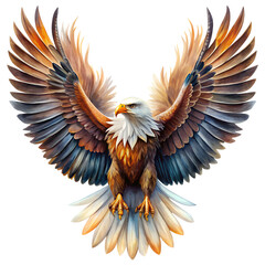 Naklejka premium Eagle in Watercolor Style with Strong Wing Span