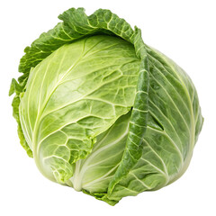 Fototapeta premium cabbage isolated on white background