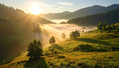 Lush green valley shrouded in morning mist, sun rays breaking through fog, realistic textures and colors, full-resolution photography