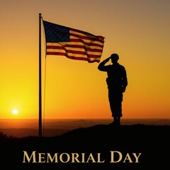 Remembering Our Fallen Heroes A Memorial Day Silhouette