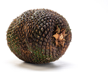 Pinhão e pinha, tradicional iguaria da serras do sul do Brasil