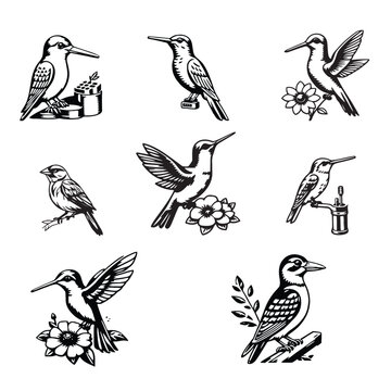 bird vector color 