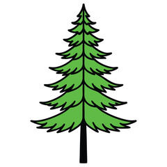 pitch-pine-tree-line-art-vector-on-white-backgroun 