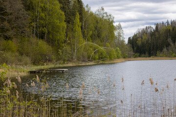 Serene lakeside view with lush greenery and calm water under a cloudy sky in spring