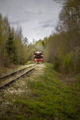 Fototapeta premium Train travels along a secluded railway surrounded by lush greenery in a tranquil forest setting