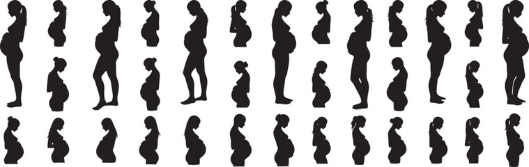 Pregnancy silhouette vector art collection showing stages of pregnancy and pregnant women illustration