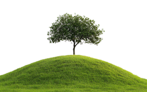 Tree is standing on a hill with green grass