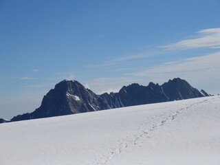 Blick über den Fieschergletscher zum Schreckhorn 4078m  links, und rechts das Lauteraarhorn 4042m