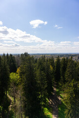 Peaceful countryside landscape with green hills, pine forest and blue sky with fluffy white clouds on a sunny spring day in Northern Europe