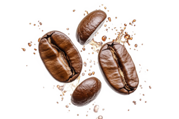 Roasted coffee beans splash isolated on transparent background