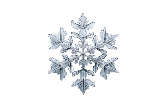 Snowflake is shown in a white background