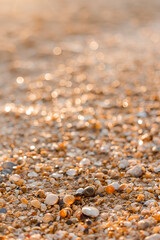 close-up of sand, shells and the sea