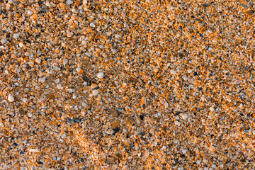 close-up of sand, shells and the sea