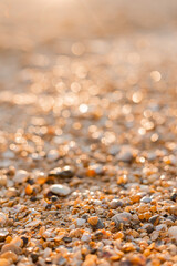 close-up of sand, shells and the sea