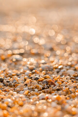 close-up of sand, shells and the sea