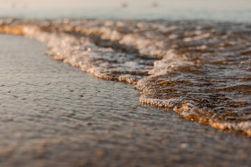 close-up of sand, shells and the sea