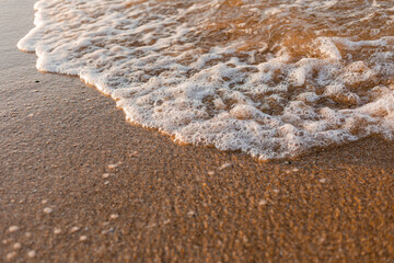 close-up of sand, shells and the sea