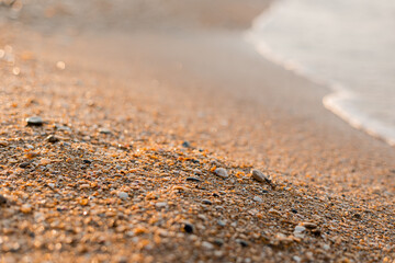 close-up of sand, shells and the sea