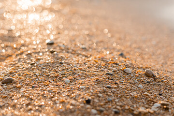 close-up of sand, shells and the sea