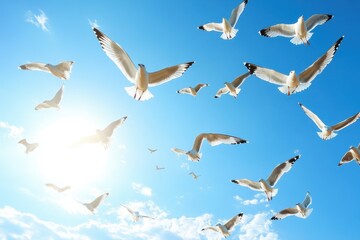 Fototapeta premium Flock of white seagulls soaring in a clear blue sky during a sunny afternoon, Big flock of white seagulls flying in the blue sky UHD