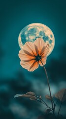 flowers and moon 