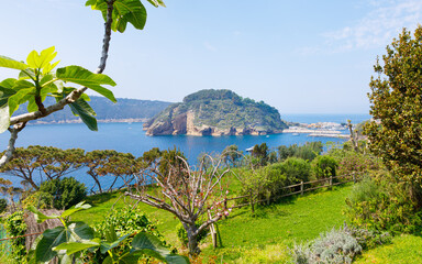 Lush green coast of Procida island, Italy, with trees in the foreground and a rocky island surrounded by clear blue waters of Mediterranean Sea and a marina in the background.