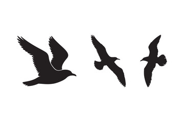 Flying Bird Silhouettes Vector Art Black Seagull Clipart on White Background