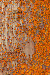 Close-up of a vertical rusted metal sheet with heavy orange corrosion and textured patterns, ideal for industrial and grunge backgrounds.