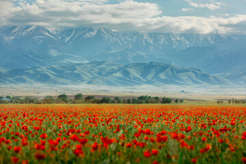 Mountain landscape with poppies