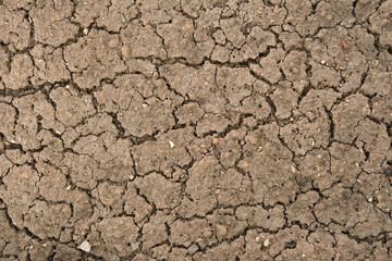 Texture of dry cracked land. Natural background. Arid climate illustration.
